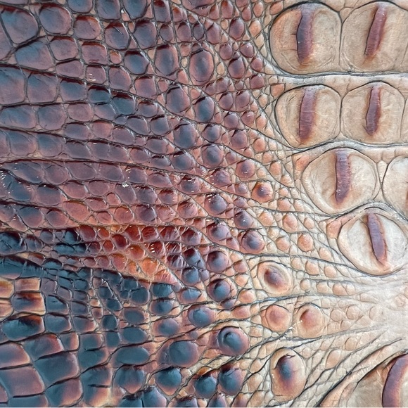 Brahmin Bag - Picture 8 of 12